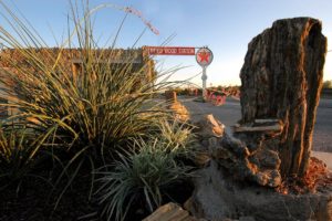 Petrified Wood Station Decatur TX